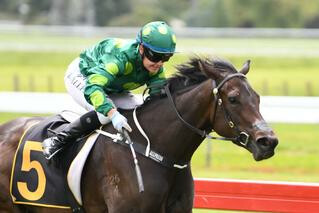 Powering away in the Listed Levin Stakes was Gift of Power (NZ) (Power).